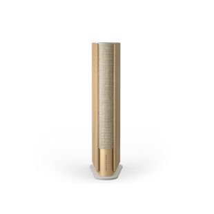 Bang & Olufseni Beosound Emerge multiruum Wifi k&otilde;lar on puidust &uuml;mbrisega raamatu kujuline