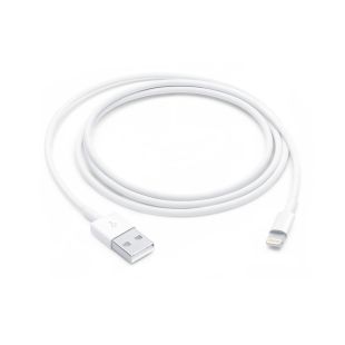 Lightning USB kaabel (1m), valge