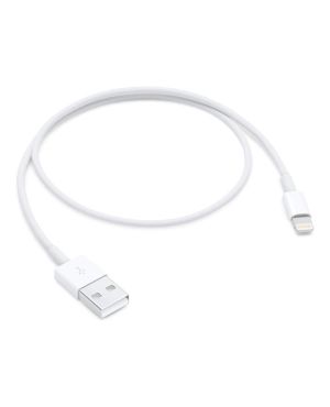 Lightning to USB Cable 0.5M Lightning USB kaabel (0.5m), valge