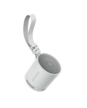 Sony kaasaskantav bluetooth kõlar SRS-XB100, hall